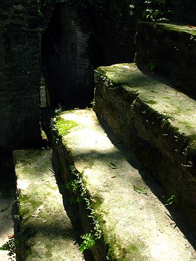 Mossy steps with a passage way seen in the background .jpg