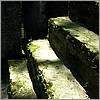 Mossy steps with a passage way seen in the background .jpg