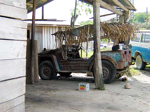 Jeep with thatch roof.jpg