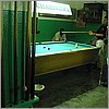 Pool sharks .jpg