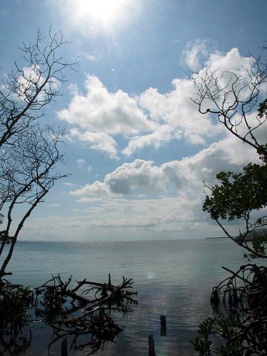 I found this little beach at the Southern tip of Ambergris  Island and had the whole place to myself .jpg