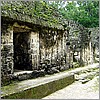 One of the many Mayan ruins at Tekal .jpg