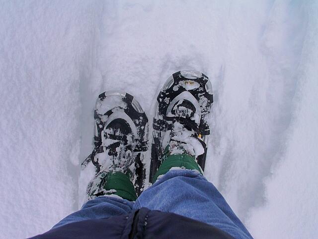 Snow shoes.jpg