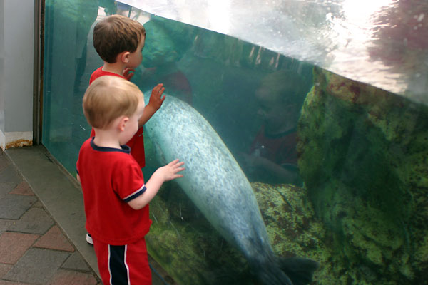 Kids in front of the Boston Aquarium