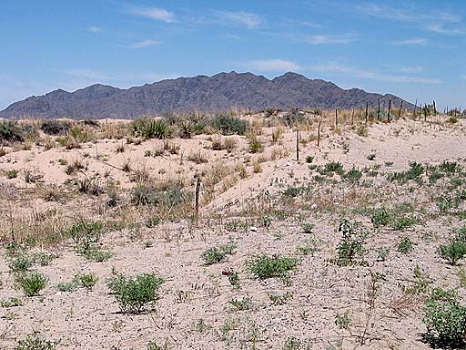 Old fence in the desert.jpg