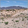 Old fence in the desert.jpg